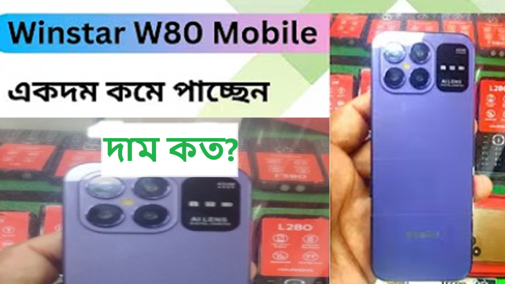 Winstar W80 Four Sim Mobile দাম কত?